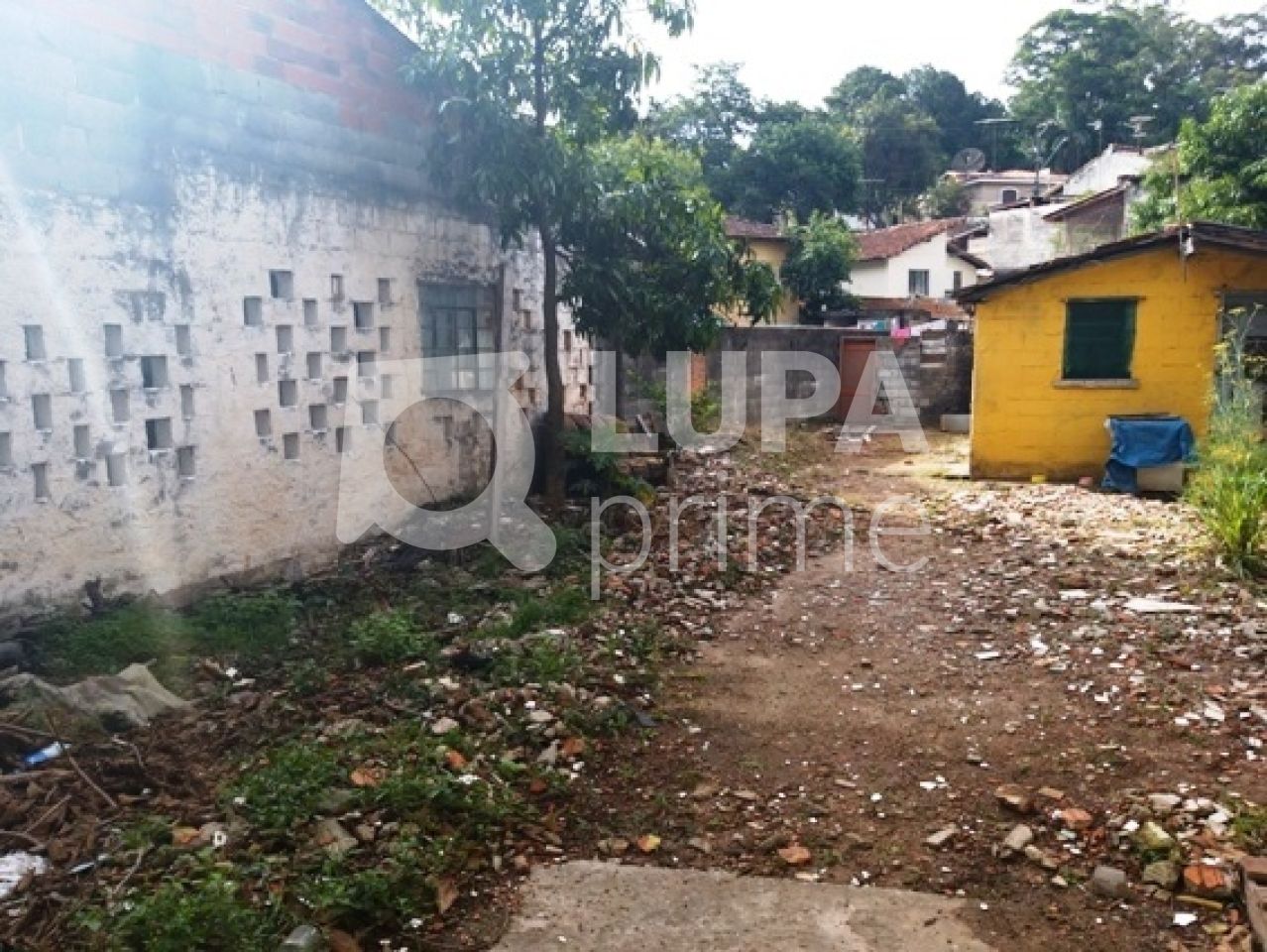 terreno-venda-sao-paulo-horto-florestal-1080m2-LS3354