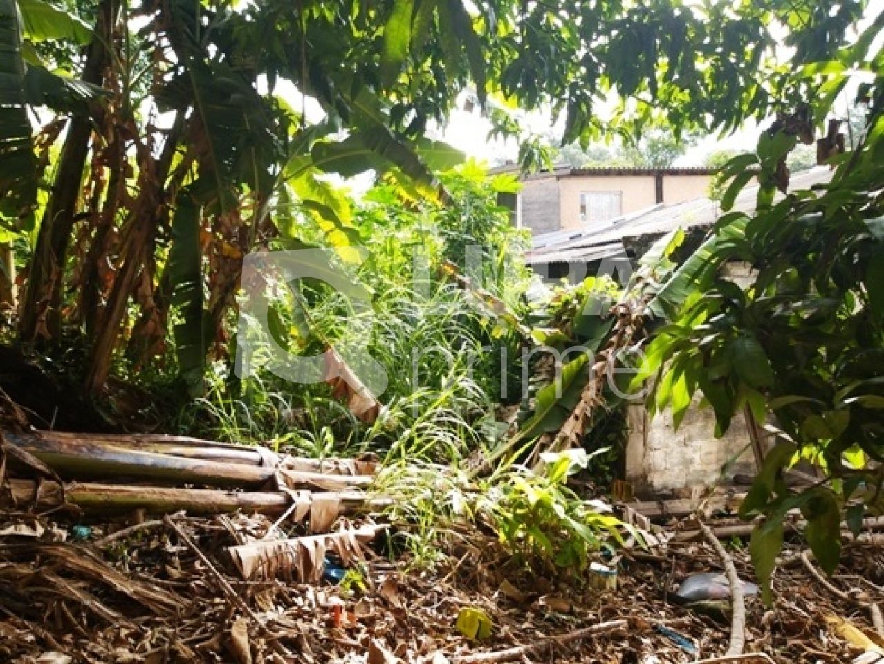 terreno-venda-sao-paulo-horto-florestal-1080m2-LS3354