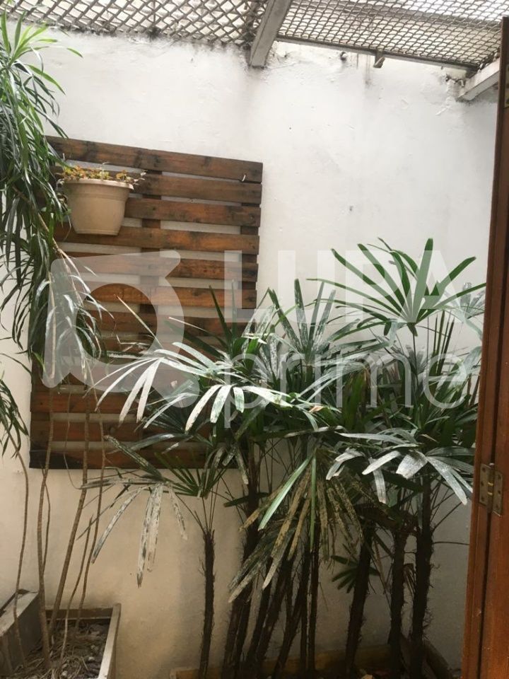 predio-locacao-sao-paulo-santana-240m2-LS33648