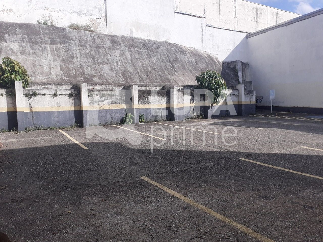 salao-locacao-sao-paulo-agua-fria-15vagas-250m2-LS33679