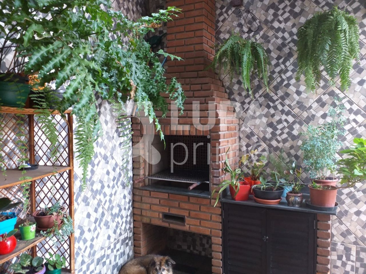 casa-terrea-venda-sao-paulo-chora-menino-4dormitorios-2suites-6vagas-352m2-LS33682