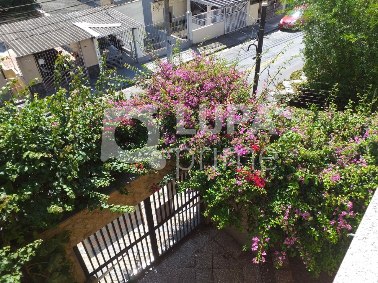 casa-terrea-venda-sao-paulo-chora-menino-4dormitorios-2suites-6vagas-352m2-LS33682