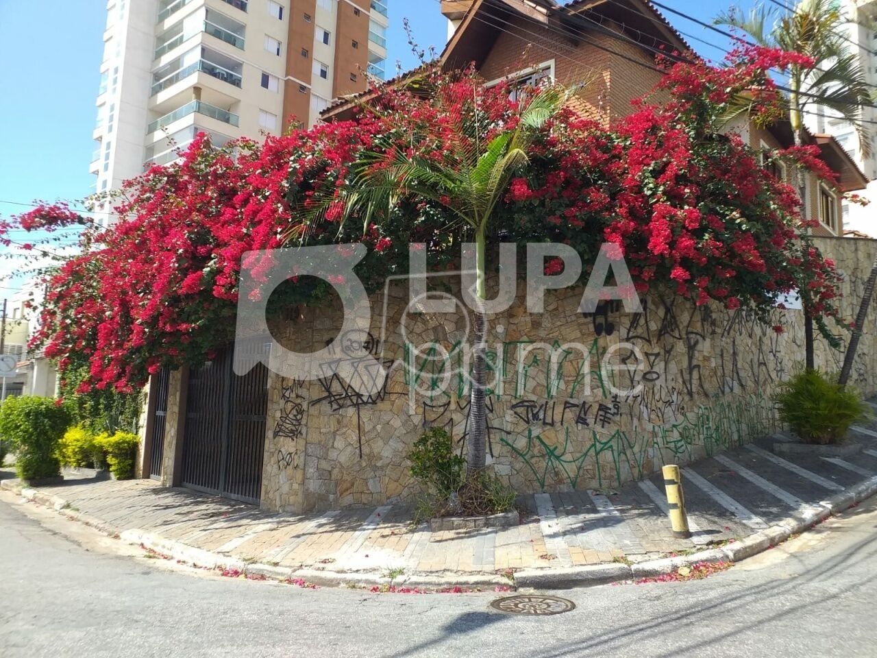 casa-terrea-venda-sao-paulo-chora-menino-4dormitorios-2suites-6vagas-352m2-LS33682