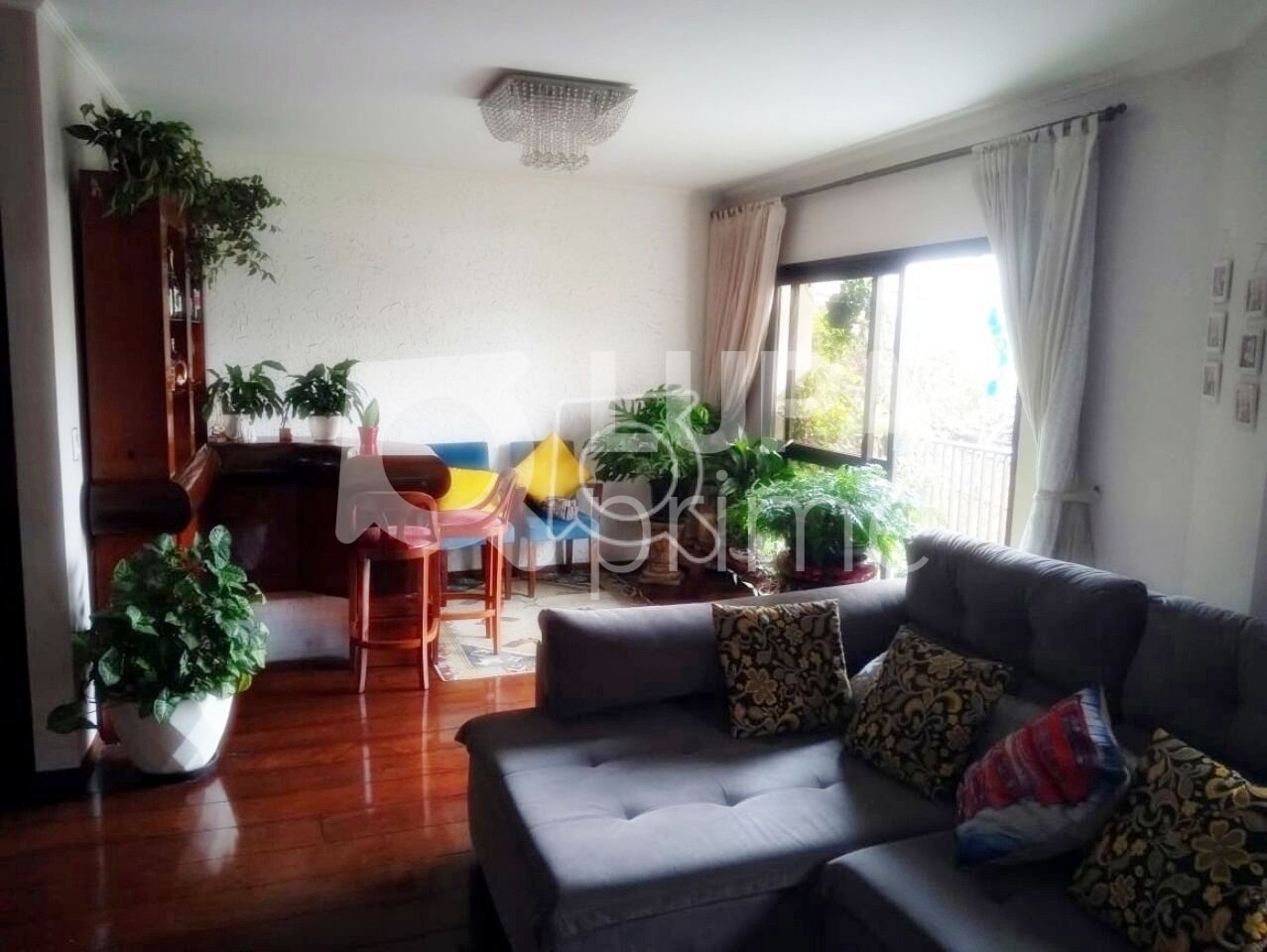 casa-terrea-venda-sao-paulo-chora-menino-4dormitorios-2suites-6vagas-352m2-LS33682