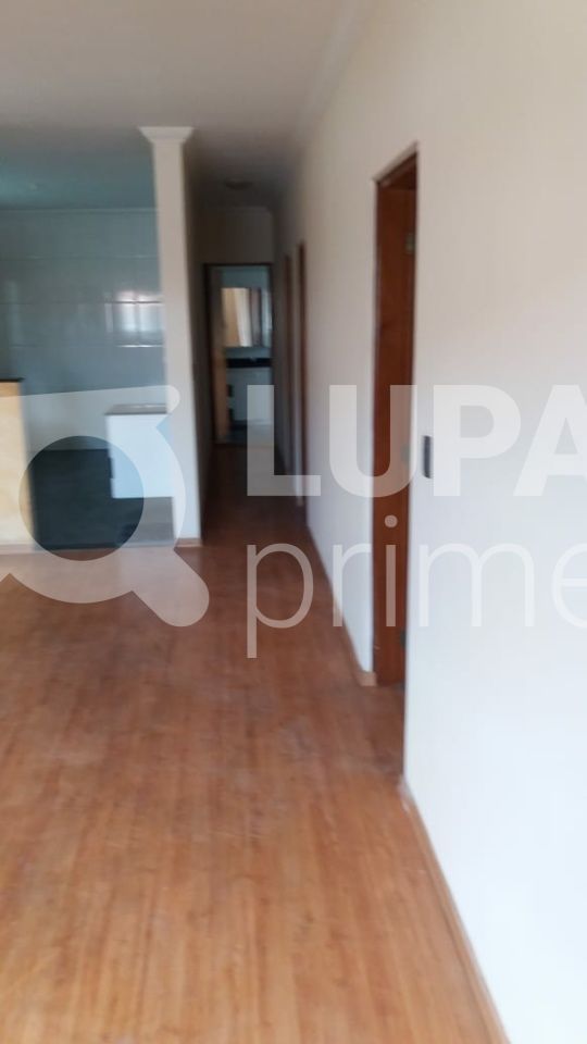 casa-terrea-venda-sao-paulo-jardim-peri-3dormitorios-230m2-LS33766