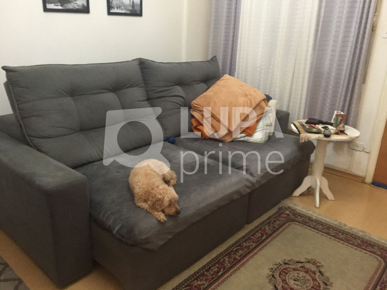 apartamento-venda-sao-paulo-santana-2dormitorios-58m2-LS33962