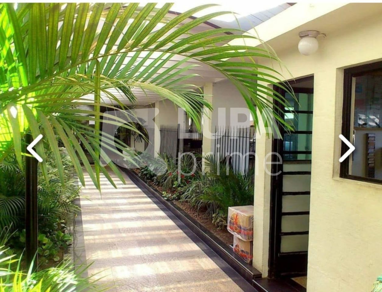 apartamento-venda-sao-paulo-santana-2dormitorios-58m2-LS33962