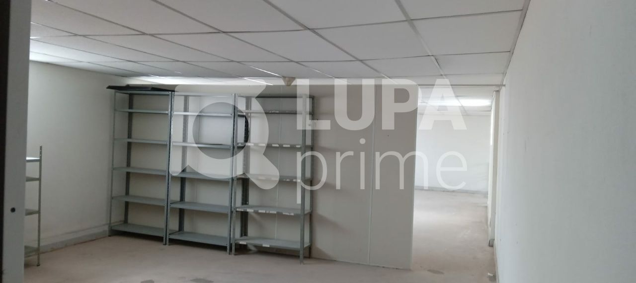 predio-locacao-sao-paulo-santana-2vagas-420m2-LS33996