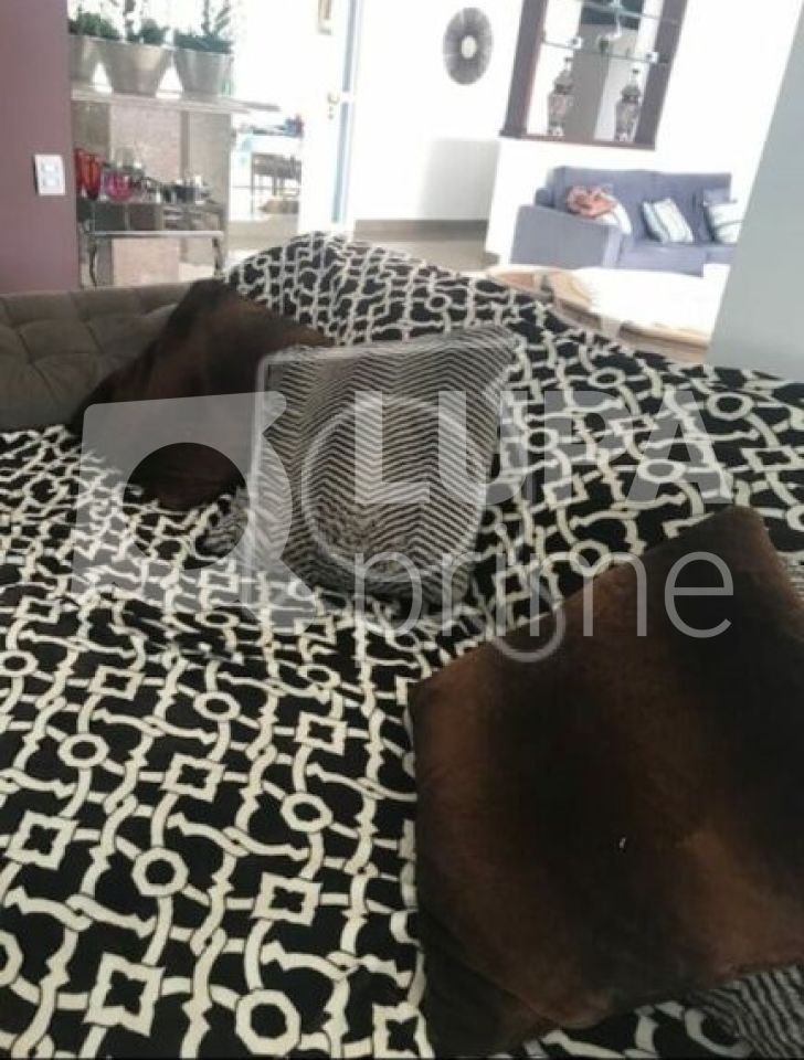 apartamento-venda-sao-paulo-santana-4dormitorios-4suites-4vagas-230m2-LS34003