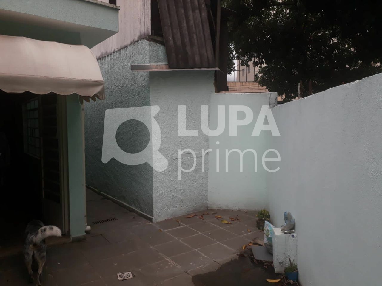 casa-terrea-venda-sao-paulo-santa-teresinha-3dormitorios-1suite-4vagas-169m2-LS34026