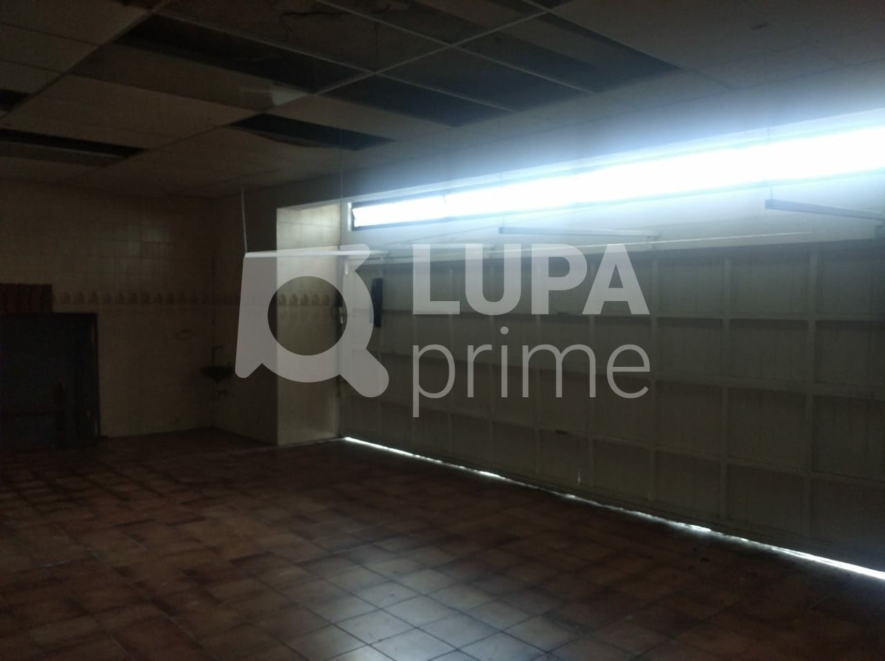 Casa, 3 quartos, 340 m² - Foto 17