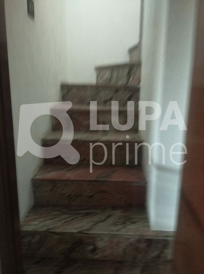 Casa, 3 quartos, 340 m² - Foto 19