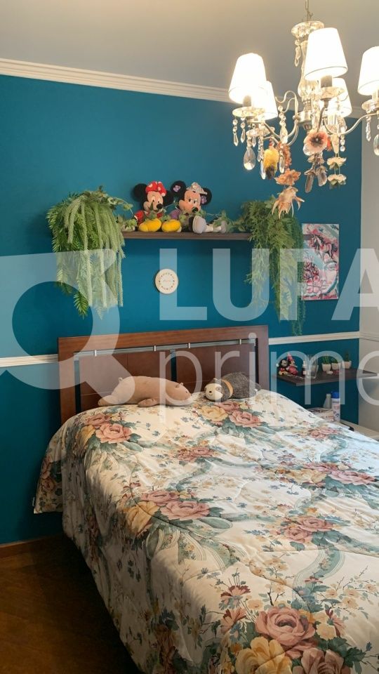 Casa, 4 quartos, 340 m² - Foto 10