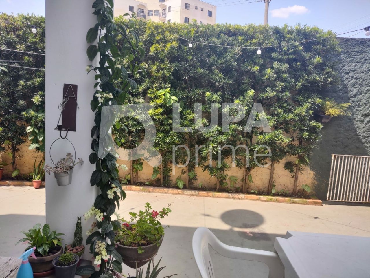 terreno-venda-sao-paulo-jardim-do-colegio-zona-norte-317m2-LS34176