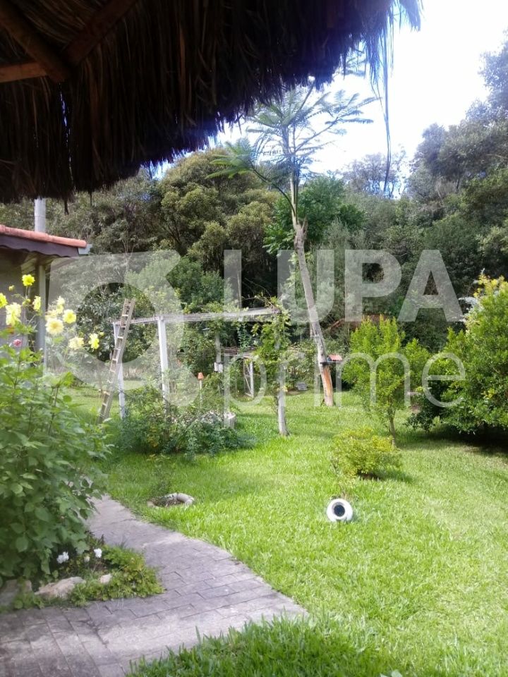 Chácara, 5 quartos, 1 hectares - Foto 10