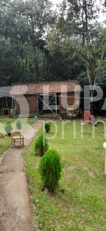 Chácara, 5 quartos, 1 hectares - Foto 13