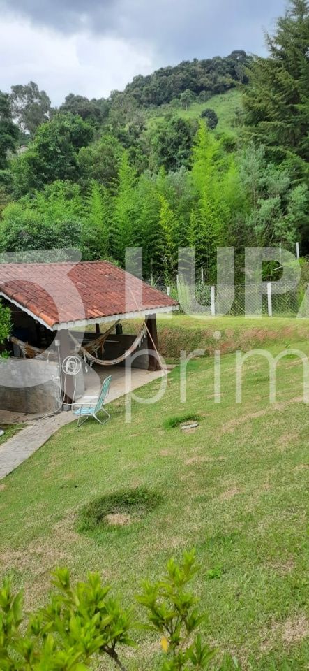 Chácara, 5 quartos, 1 hectares - Foto 12