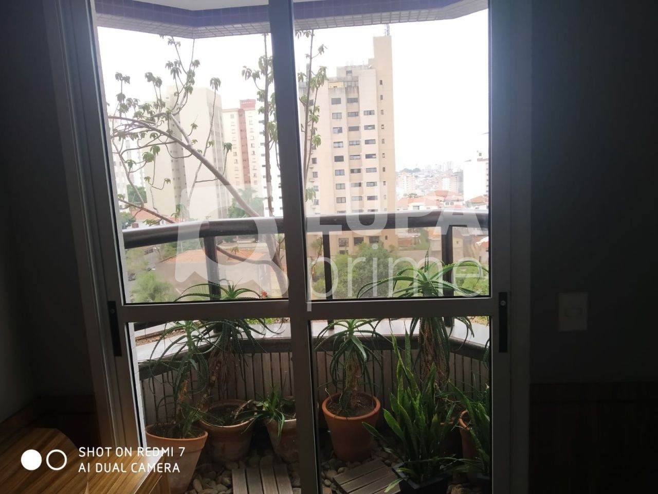 apartamento-venda-sao-paulo-agua-fria-3dormitorios-3suites-4vagas-300m2-LS34250