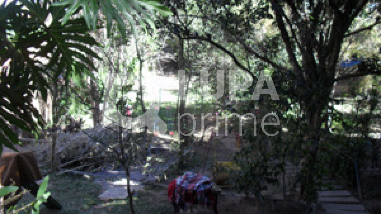 terreno-venda-sao-paulo-tremembe-254m2-LS34431