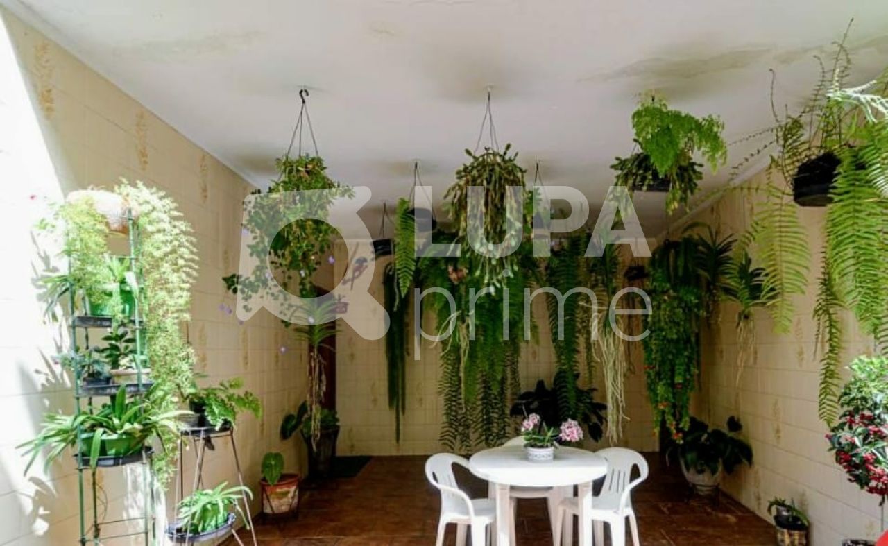 Casa, 4 quartos, 488 m² - Foto 25