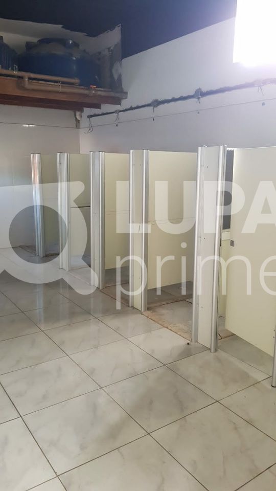 predio-locacao-sao-paulo-jardim-paraiso-600m2-LS34805