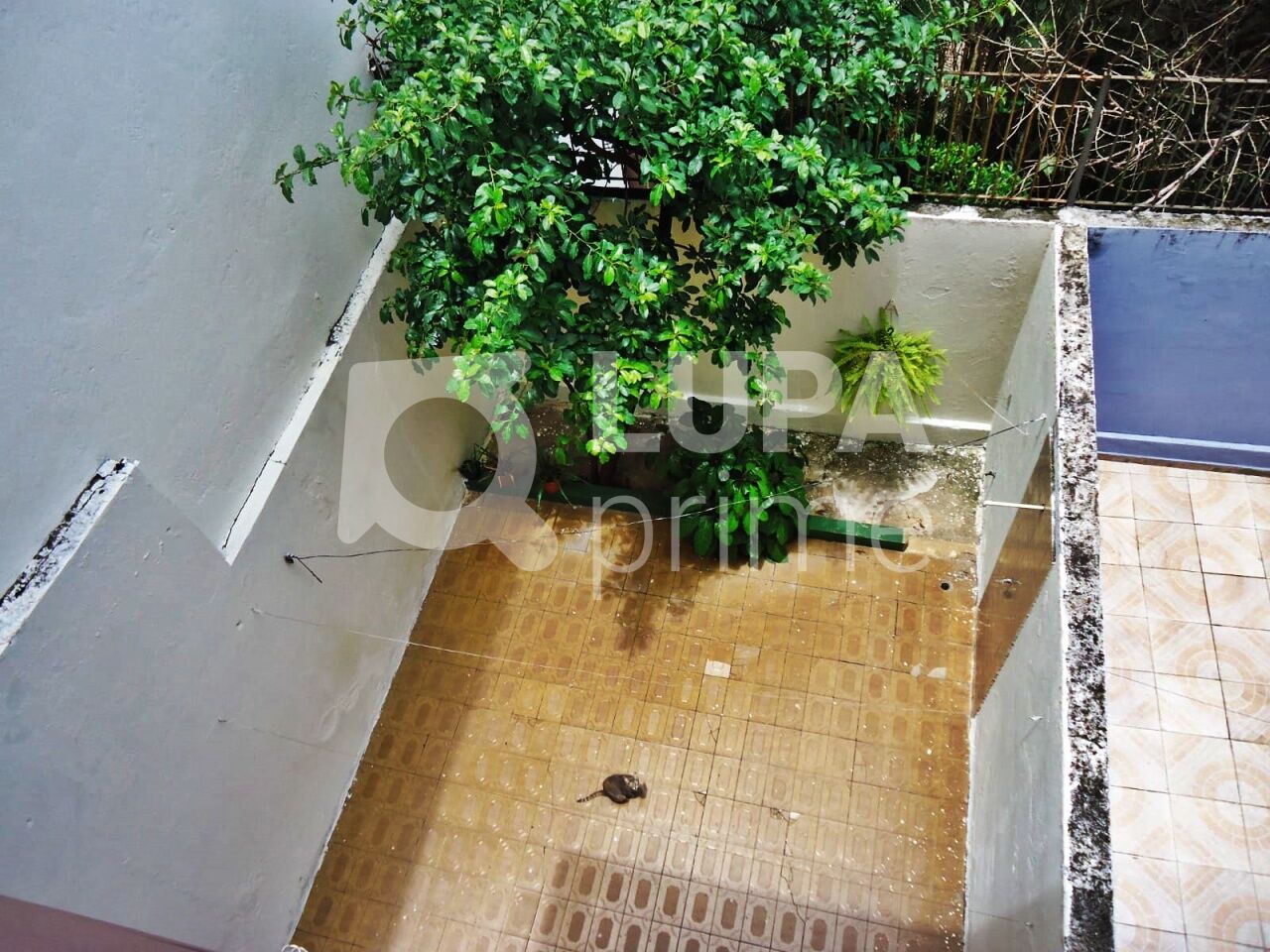 sobrado-venda-sao-paulo-santana-3dormitorios-1suite-3vagas-227m2-LS349