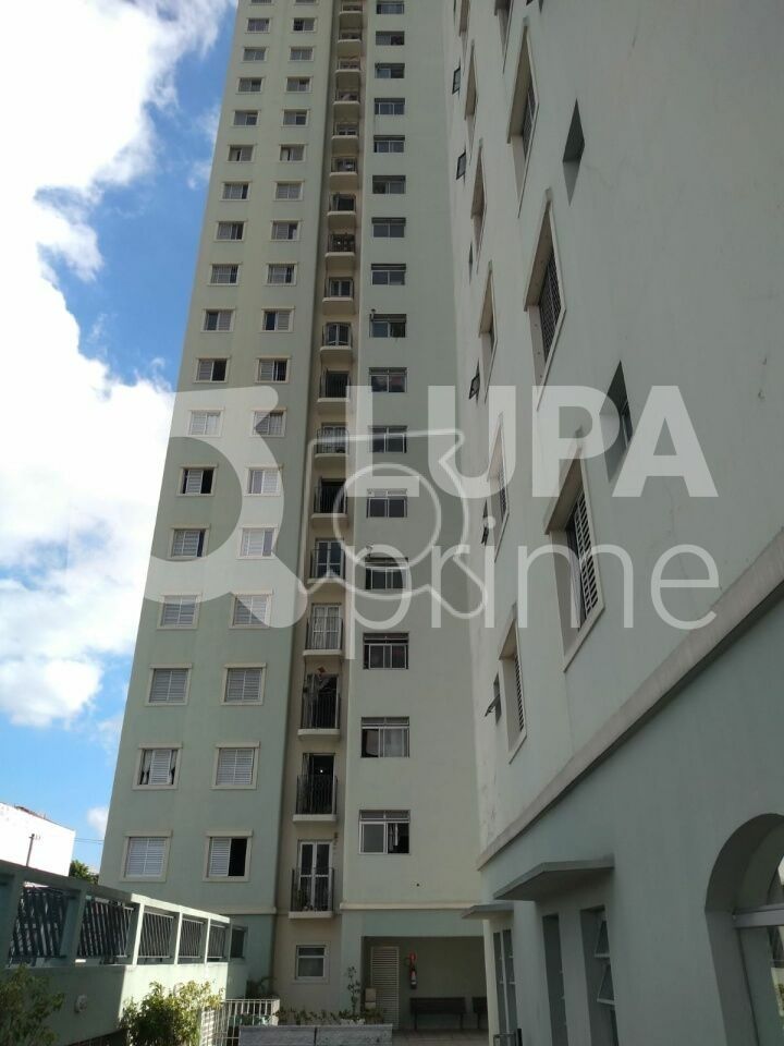 apartamento-venda-sao-paulo-jardim-sao-paulo-3dormitorios-1suite-1vaga-61m2-LS34973