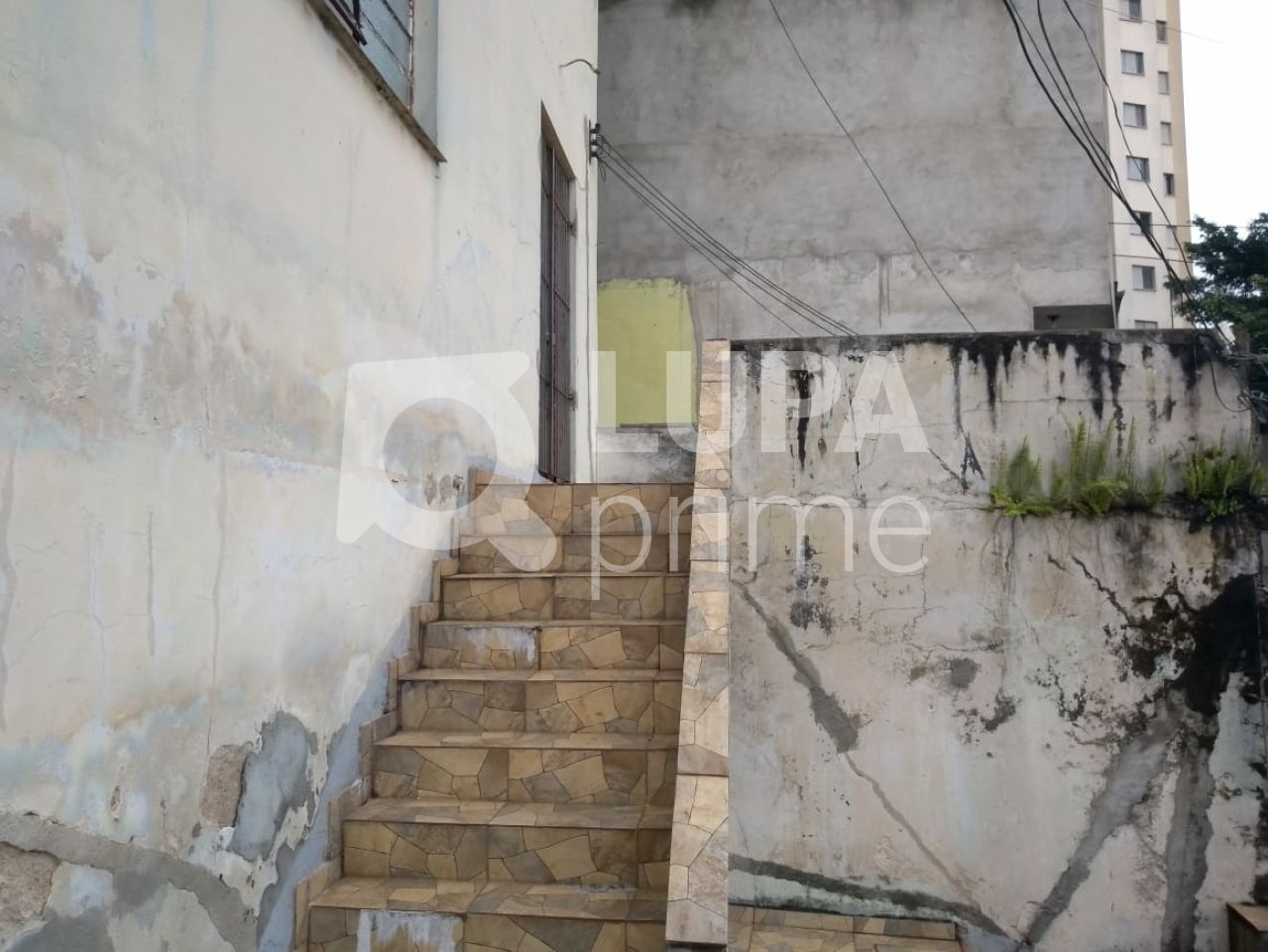 sobreloja-locacao-sao-paulo-jardim-paraiso-250m2-LS35027