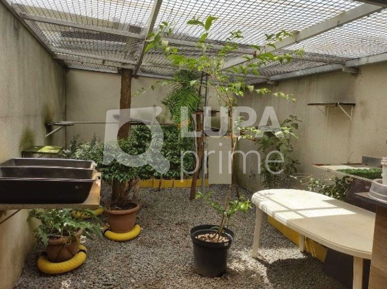 sobrado-venda-sao-paulo-vila-pauliceia-3dormitorios-2suites-4vagas-169m2-LS35037