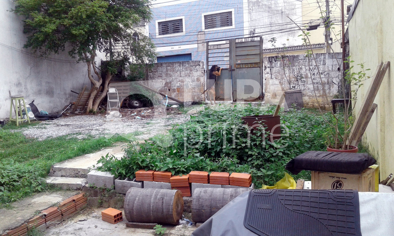 terreno-venda-sao-paulo-vila-re-LS35039