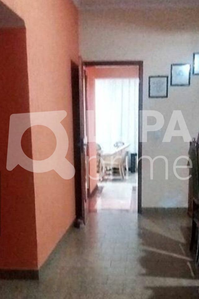 Casa, 3 quartos, 479 m² - Foto 5