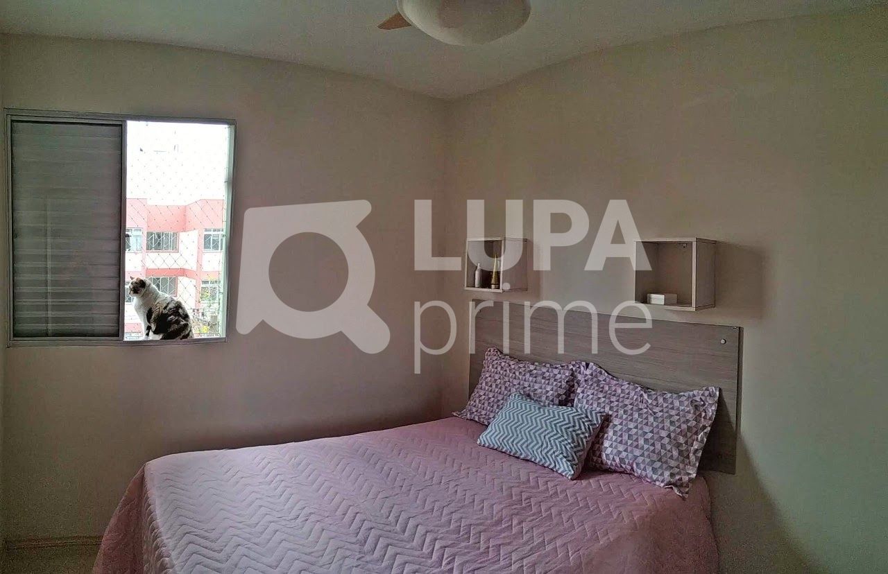 apartamento-venda-sao-paulo-vila-constanca-2dormitorios-52m2-LS35152