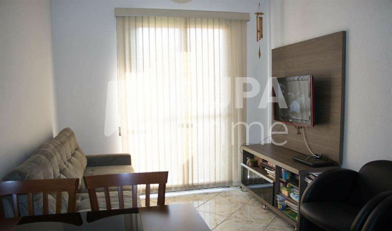 apartamento-venda-sao-paulo-vila-palmeiras-2dormitorios-50m2-LS35154