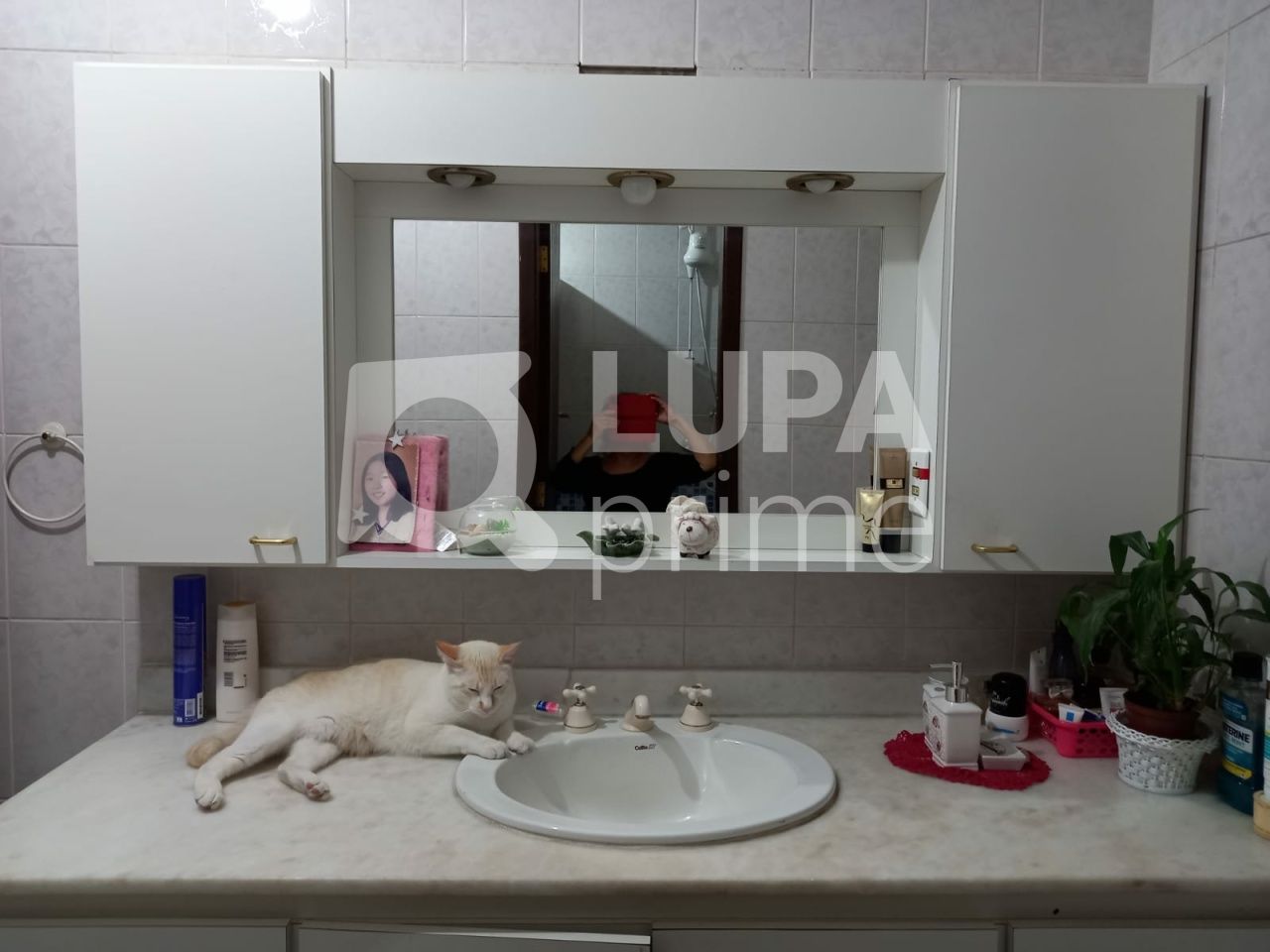 casa-assobradada-venda-sao-paulo-tucuruvi-4dormitorios-678m2-LS35206