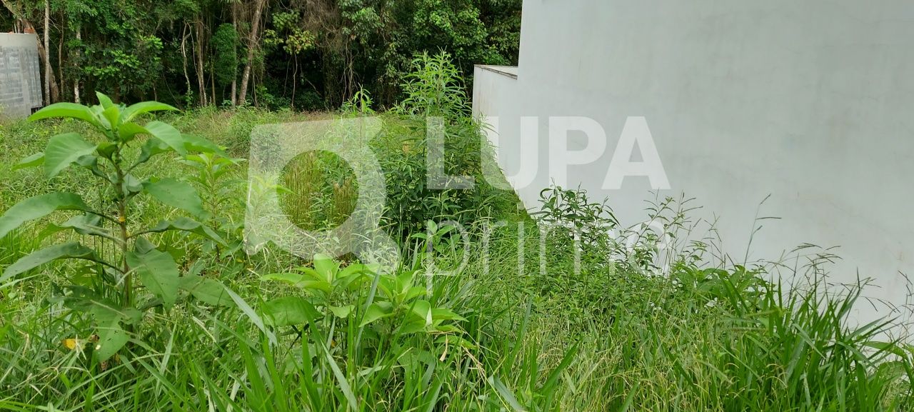 terreno-venda-sao-paulo-tremembe-LS35271