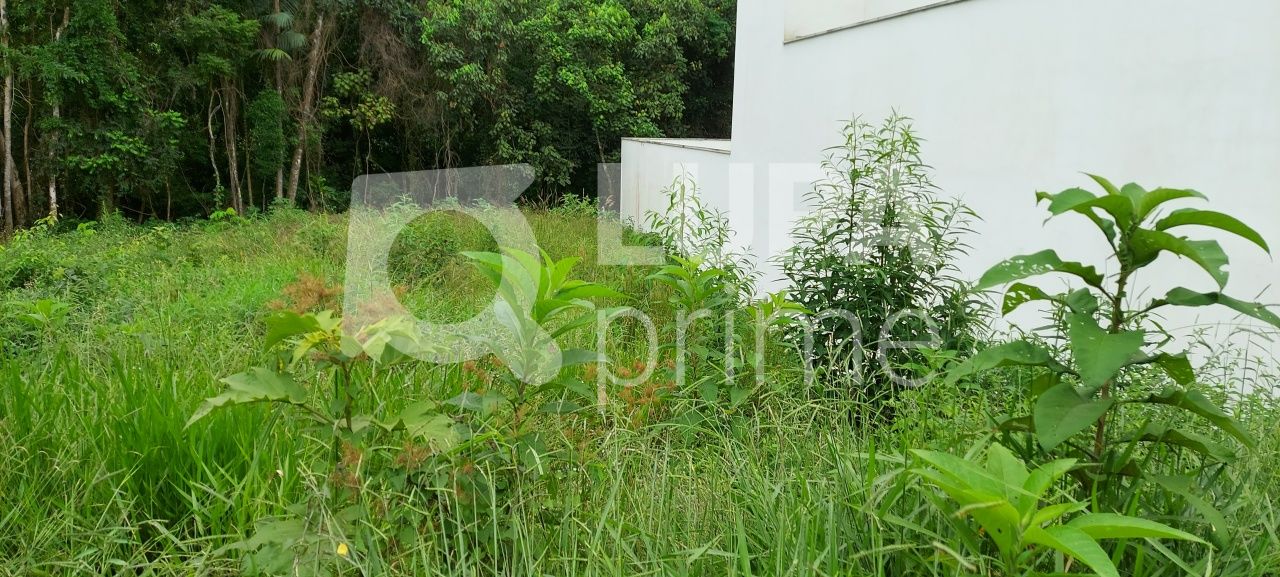 terreno-venda-sao-paulo-tremembe-LS35271