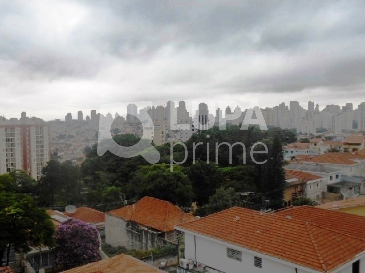 sobrado-venda-sao-paulo-jardim-paraiso-3dormitorios-1suite-2vagas-228m2-LS35401