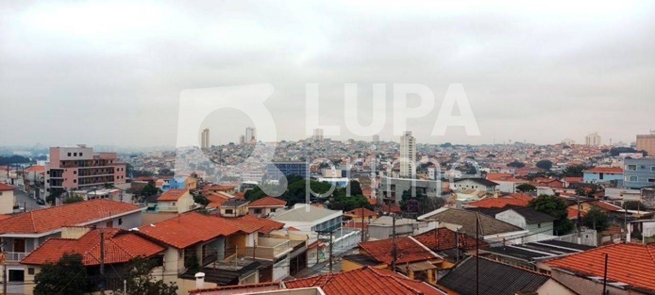 sobrado-venda-sao-paulo-vila-constanca-3dormitorios-3suites-5vagas-240m2-LS35405