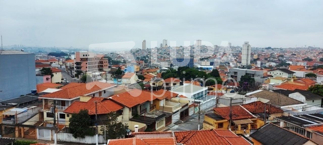 sobrado-venda-sao-paulo-vila-constanca-3dormitorios-3suites-5vagas-250m2-LS35406