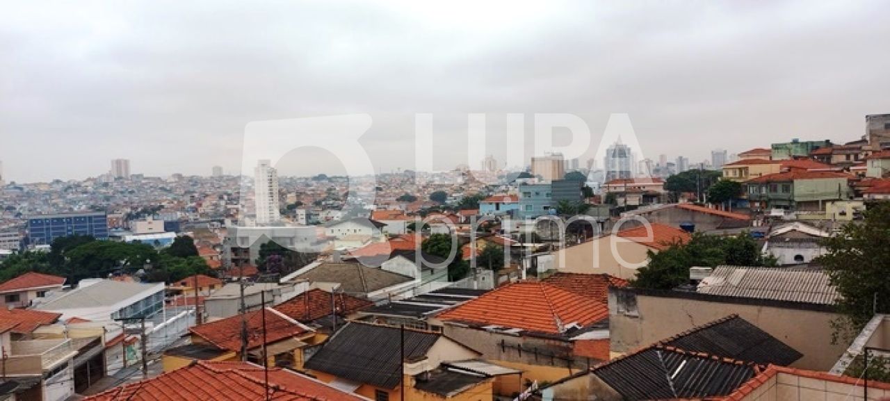 sobrado-venda-sao-paulo-vila-constanca-3dormitorios-3suites-5vagas-250m2-LS35406