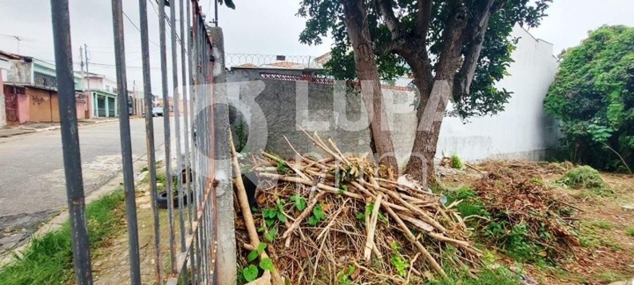 terreno-venda-sao-paulo-vila-constanca-LS35462