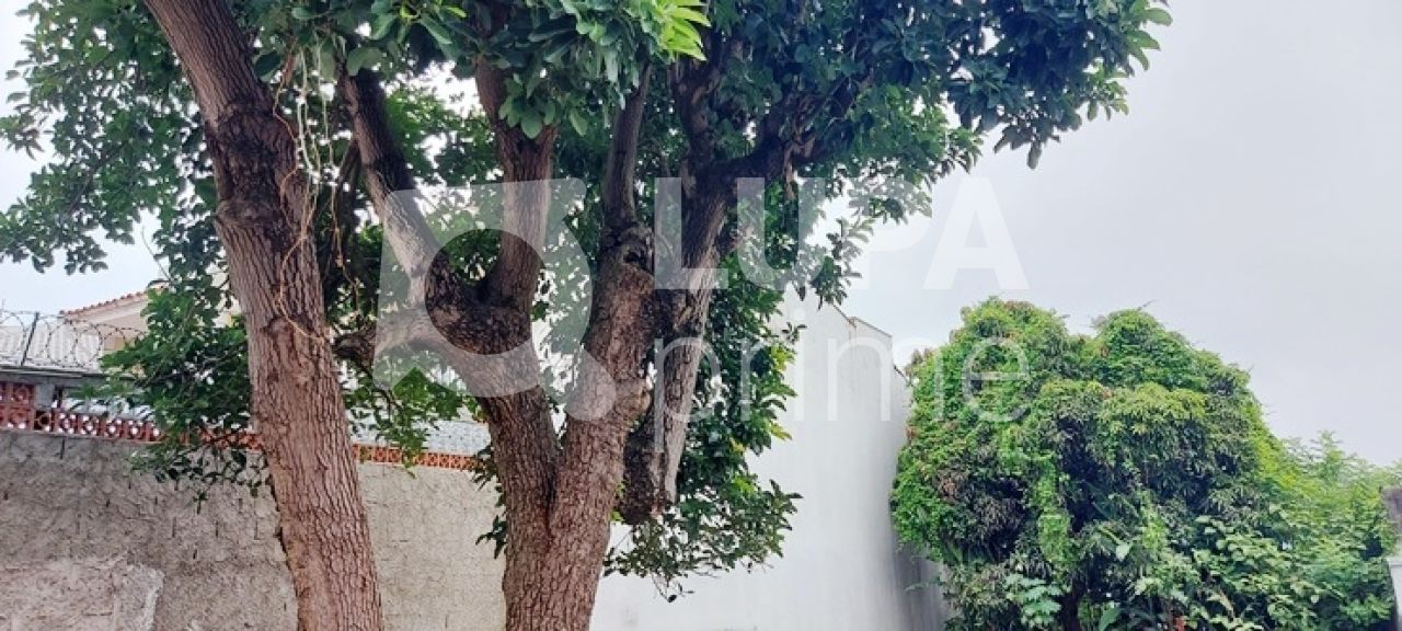 terreno-venda-sao-paulo-vila-constanca-LS35462