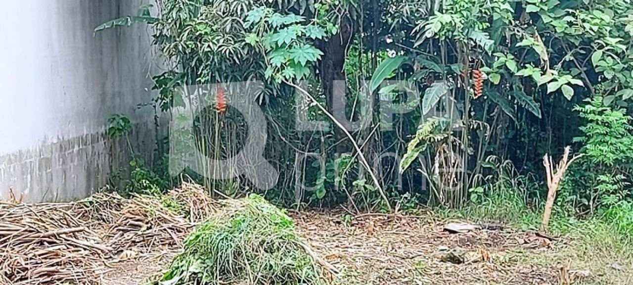 terreno-venda-sao-paulo-vila-constanca-LS35462