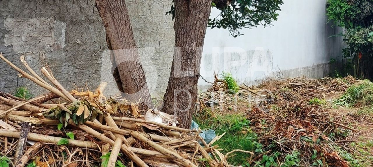 terreno-venda-sao-paulo-vila-constanca-LS35462
