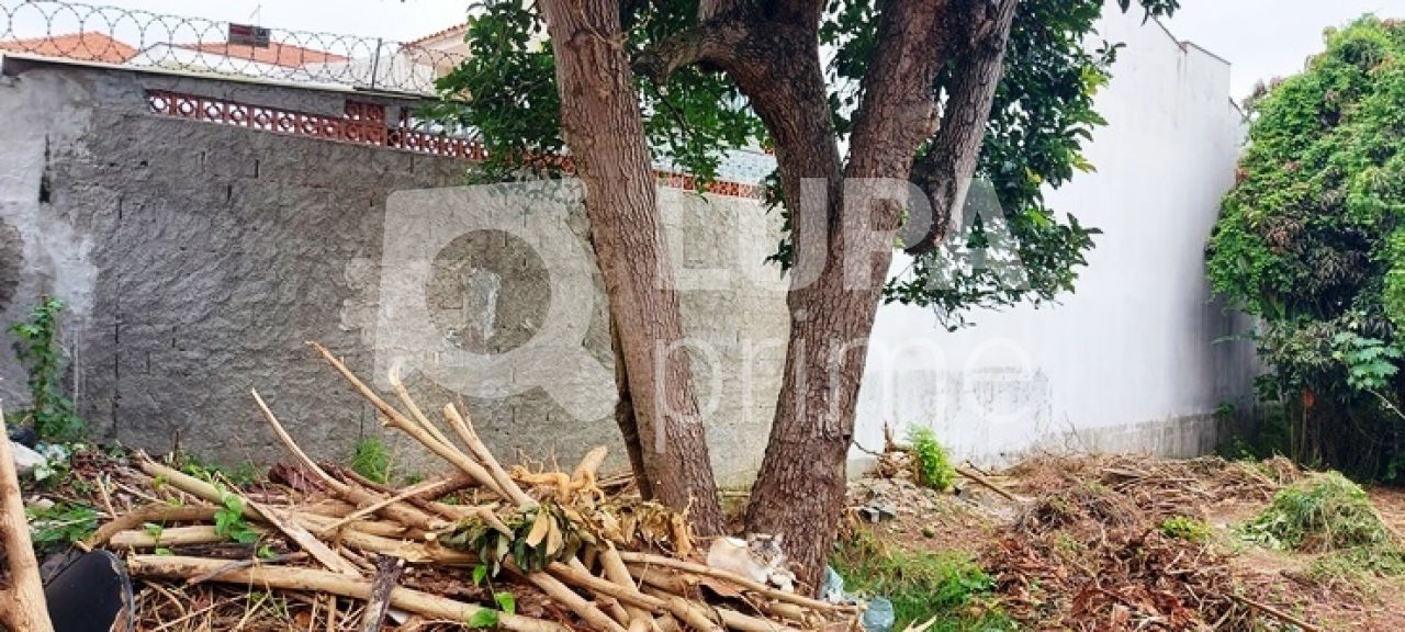 terreno-venda-sao-paulo-vila-constanca-LS35462