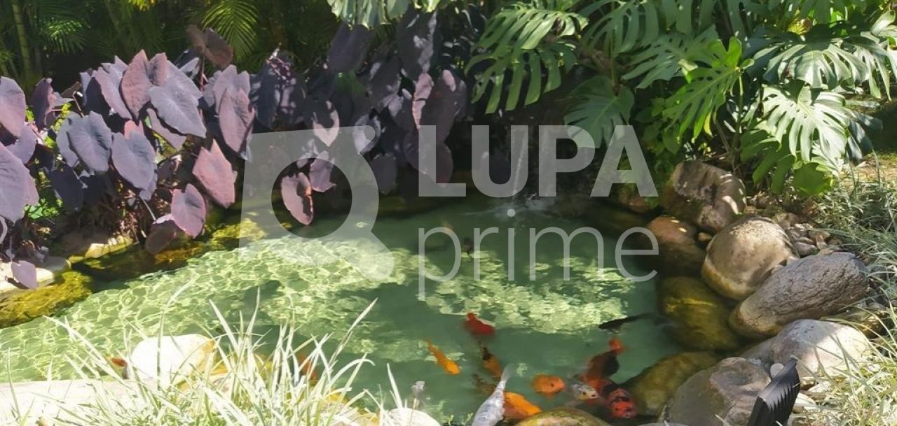 apartamento-venda-sao-paulo-vila-carrao-3dormitorios-1suite-71m2-LS35528