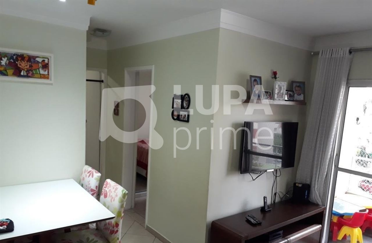 apartamento-venda-sao-paulo-vila-amelia-2dormitorios-58m2-LS35609