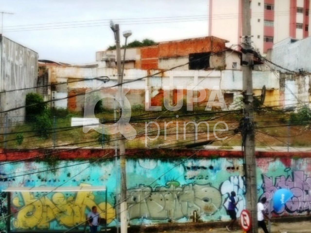 terreno-venda-sao-paulo-tucuruvi-LS35716