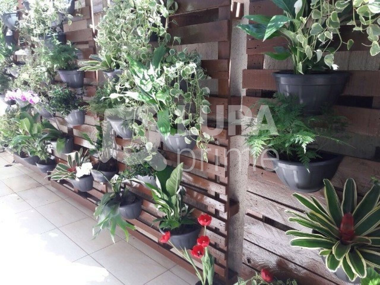 sobrado-venda-sao-paulo-lauzane-paulista-3dormitorios-1suite-4vagas-580m2-LS35840