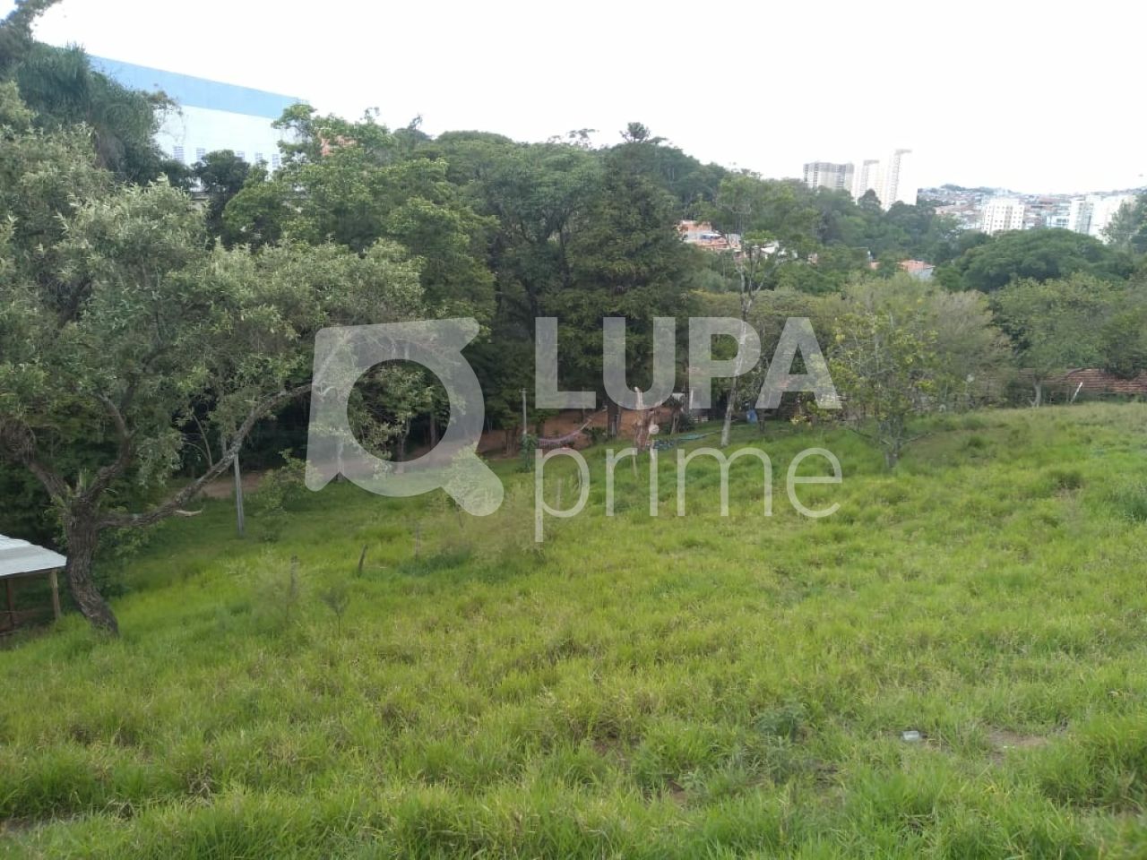 Terreno, 3 hectares - Foto 1